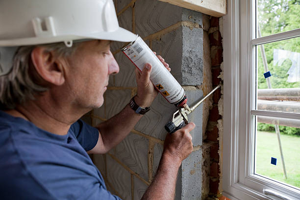 Best Crawl Space Insulation  in Hampton, IL